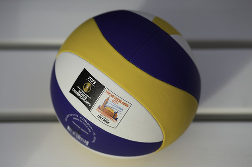 bvb wch2015 preview 2